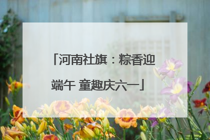 河南社旗：粽香迎端午 童趣庆六一