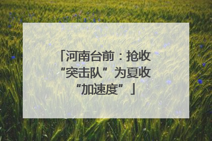 河南台前：抢收“突击队”为夏收“加速度”