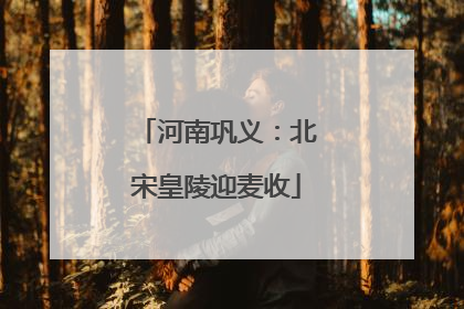 河南巩义：北宋皇陵迎麦收