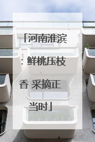河南淮滨：鲜桃压枝香 采摘正当时