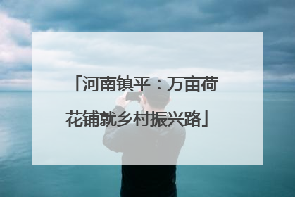 河南镇平：万亩荷花铺就乡村振兴路