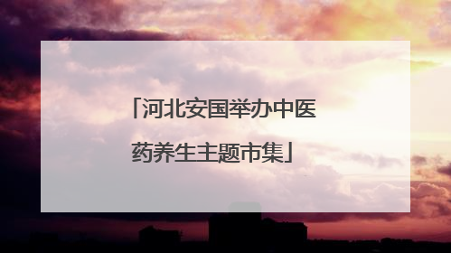 河北安国举办中医药养生主题市集