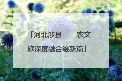 河北涉县——农文旅深度融合绘新篇