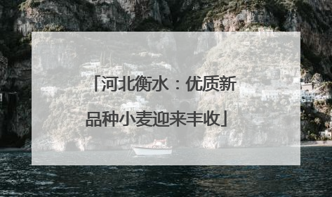 河北衡水：优质新品种小麦迎来丰收