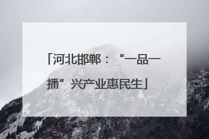 河北邯郸：“一品一播”兴产业惠民生