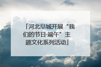 河北阜城开展“我们的节日·端午”主题文化系列活动