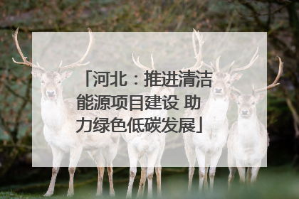 河北：推进清洁能源项目建设 助力绿色低碳发展
