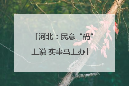 河北：民意“码”上说 实事马上办