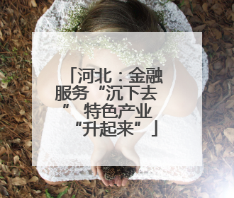 河北：金融服务“沉下去” 特色产业“升起来”