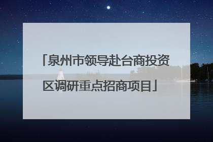 泉州市领导赴台商投资区调研重点招商项目