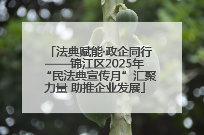 法典赋能·政企同行——锦江区2025年“民法典宣传月”汇聚力量 助推企业发展