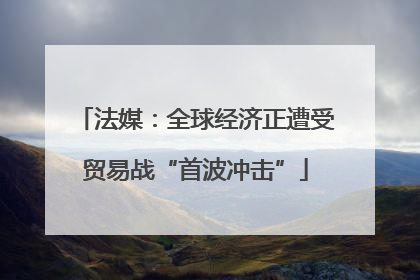 法媒：全球经济正遭受贸易战“首波冲击”