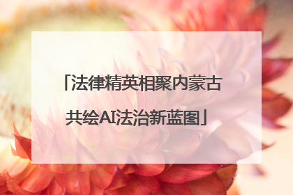 法律精英相聚内蒙古 共绘AI法治新蓝图