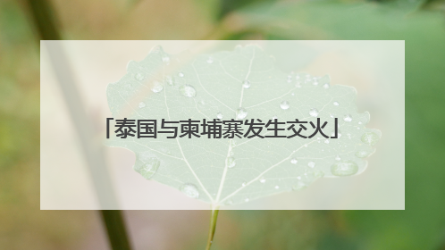 泰国与柬埔寨发生交火