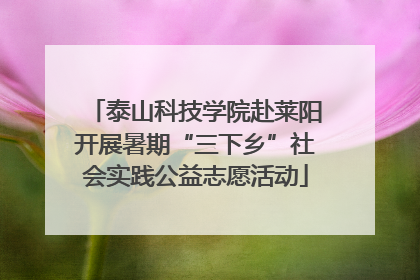 泰山科技学院赴莱阳开展暑期“三下乡”社会实践公益志愿活动