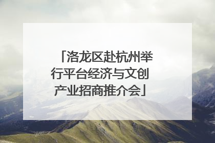 洛龙区赴杭州举行平台经济与文创产业招商推介会