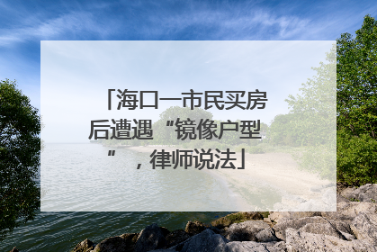 海口一市民买房后遭遇“镜像户型”，律师说法