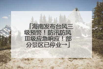 海南发布台风三级预警！防汛防风Ⅲ级应急响应！部分景区已停业→