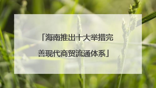 海南推出十大举措完善现代商贸流通体系
