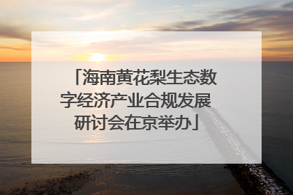 海南黄花梨生态数字经济产业合规发展研讨会在京举办