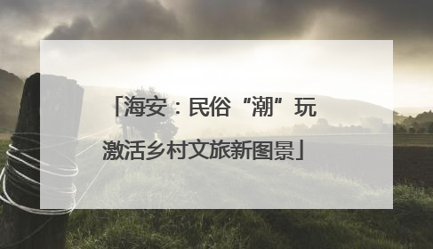 海安：民俗“潮”玩激活乡村文旅新图景