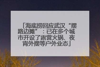 海底捞回应武汉“摆路边摊”：已在多个城市开设了露营火锅、夜宵外摆等户外业态