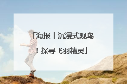 海报丨沉浸式观鸟！探寻飞羽精灵