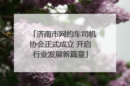 济南市网约车司机协会正式成立 开启行业发展新篇章