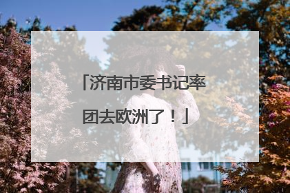 济南市委书记率团去欧洲了！