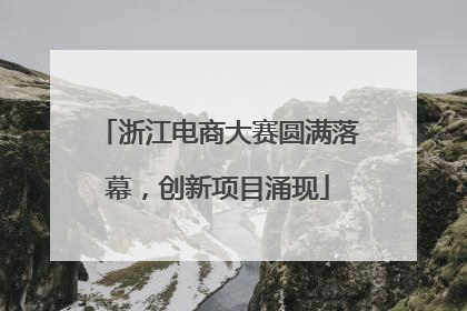 浙江电商大赛圆满落幕，创新项目涌现