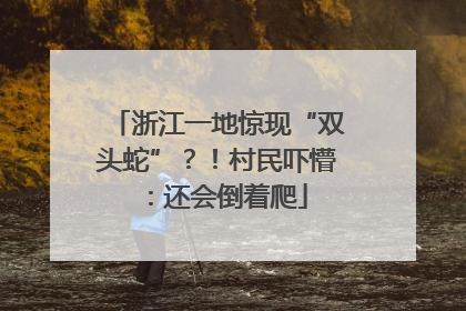 浙江一地惊现“双头蛇”？！村民吓懵：还会倒着爬
