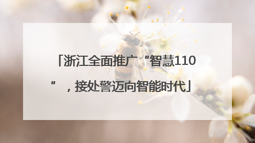 浙江全面推广“智慧110”，接处警迈向智能时代