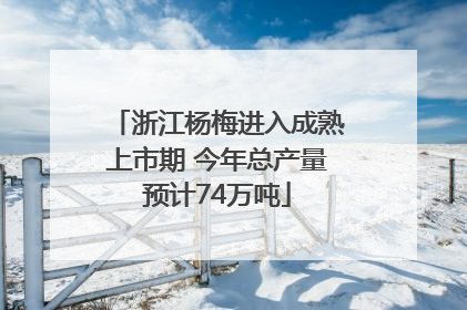 浙江杨梅进入成熟上市期 今年总产量预计74万吨