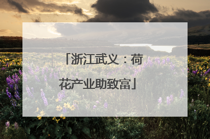 浙江武义：荷花产业助致富