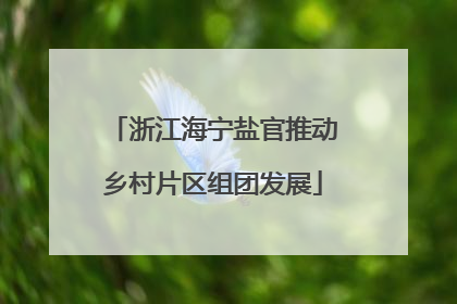 浙江海宁盐官推动乡村片区组团发展