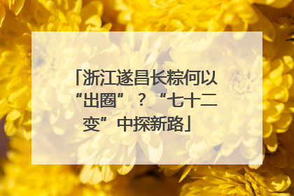 浙江遂昌长粽何以“出圈”？“七十二变”中探新路