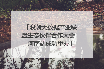 浪潮大数据产业联盟生态伙伴合作大会-河南站成功举办
