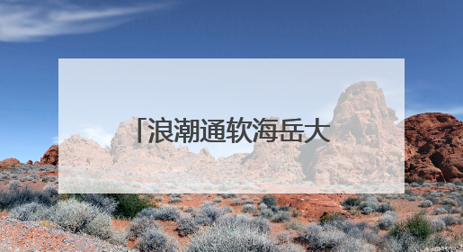 浪潮通软海岳大模型团队：青春逐浪，智启新程｜青春思政课