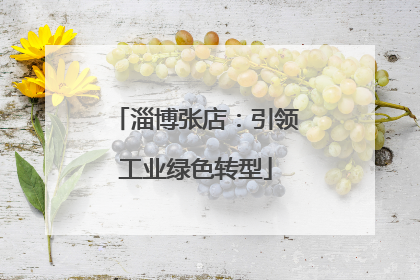淄博张店：引领工业绿色转型