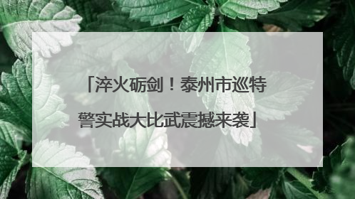 淬火砺剑！泰州市巡特警实战大比武震撼来袭