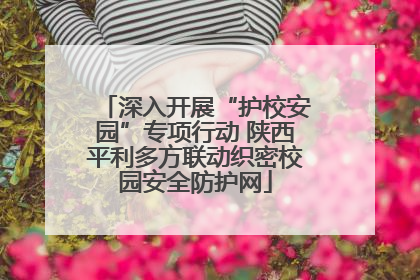 深入开展“护校安园”专项行动 陕西平利多方联动织密校园安全防护网