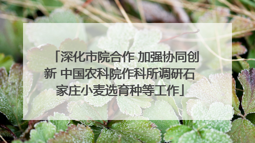 深化市院合作 加强协同创新 中国农科院作科所调研石家庄小麦选育种等工作