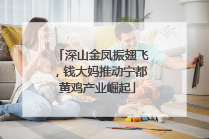 深山金凤振翅飞，钱大妈推动宁都黄鸡产业崛起