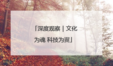 深度观察｜文化为魂 科技为翼