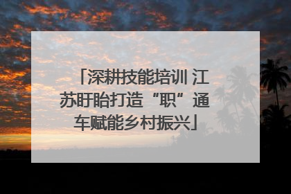 深耕技能培训 江苏盱眙打造“职”通车赋能乡村振兴
