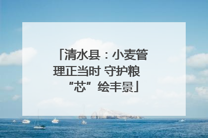 清水县：小麦管理正当时 守护粮“芯”绘丰景