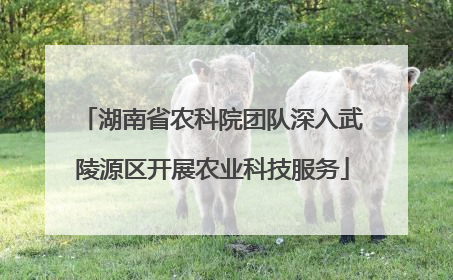 湖南省农科院团队深入武陵源区开展农业科技服务