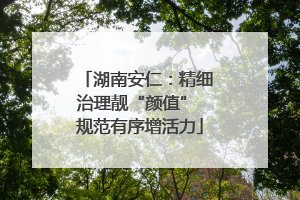 湖南安仁：精细治理靓“颜值” 规范有序增活力
