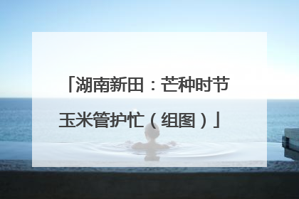 湖南新田：芒种时节玉米管护忙（组图）