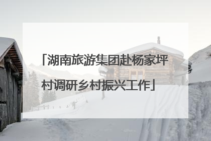 湖南旅游集团赴杨家坪村调研乡村振兴工作
